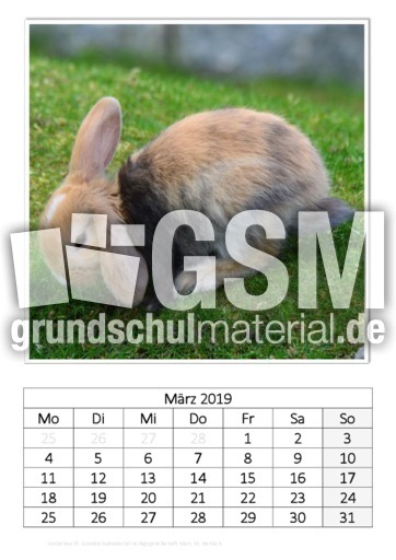 März_Kaninchen_1.pdf